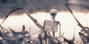 white and black skeleton figurine on brown grass during daytime