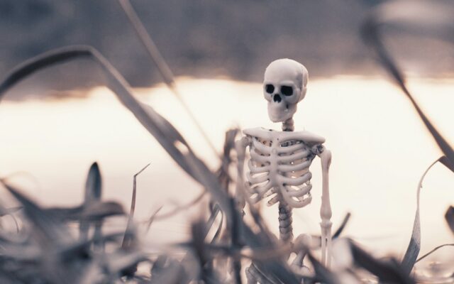 white and black skeleton figurine on brown grass during daytime